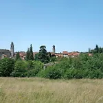 Ant Ra Prina Chiaro Pino