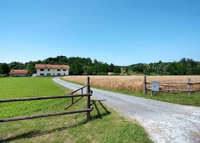 Apartamento Ant Ra Prina Chiaro Pino